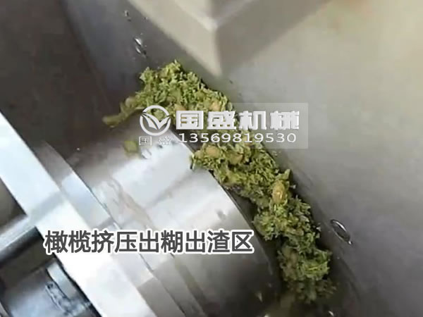 橄欖榨汁機(jī) 橄欖榨汁機(jī)