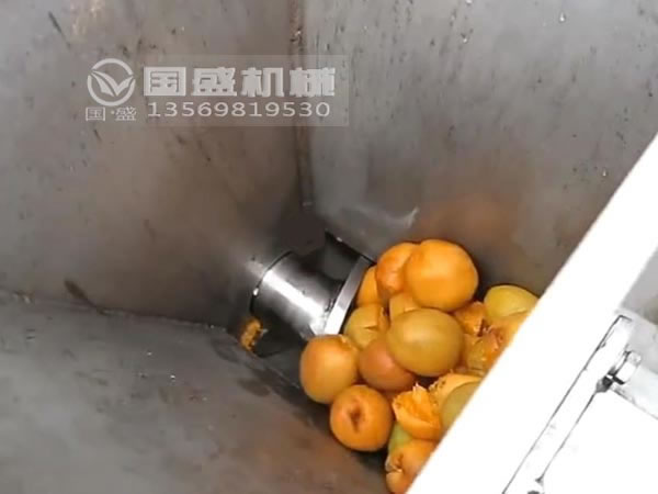果汁壓榨機(jī) 果汁壓榨機(jī)