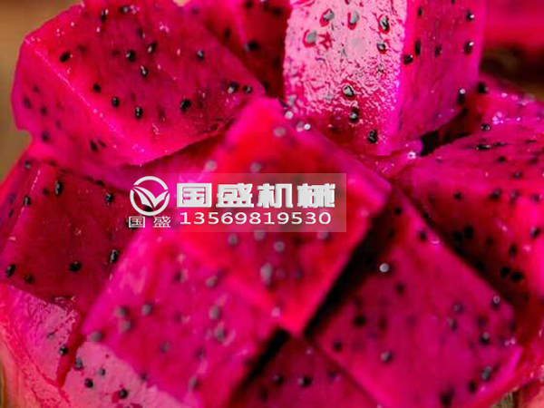 國(guó)盛火龍果擠壓脫水設(shè)備 國(guó)盛火龍果擠壓脫水設(shè)備