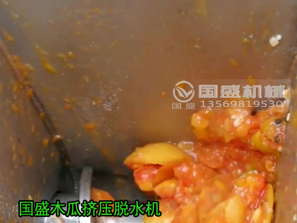 果汁壓榨機(jī) 果汁壓榨機(jī)